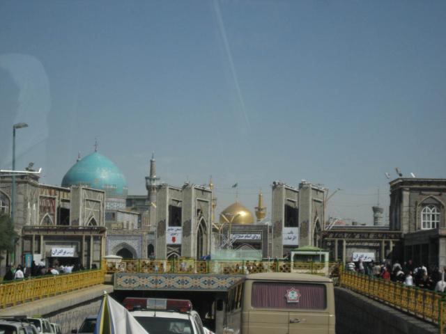 IMG_5505.jpg