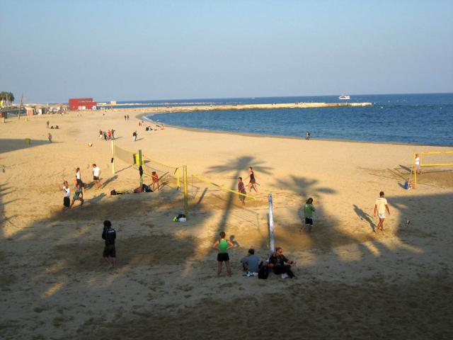 IMG_8344.jpg