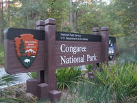 Congaree National Park, SC