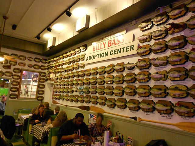 DSCN0289.jpg