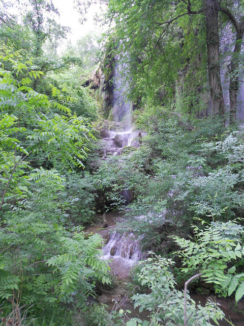 DSCN0861.jpg